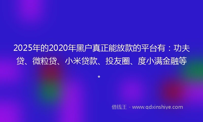 2025年的2020年黑户真正能放款的平台有：功夫贷、微粒贷、小米贷款、投友圈、度小满金融等。