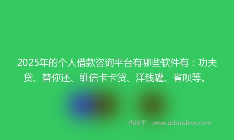 2025年的个人借款咨询平台有哪些软件有：功夫贷、替你还、维信卡卡贷、洋钱罐、省呗等。
