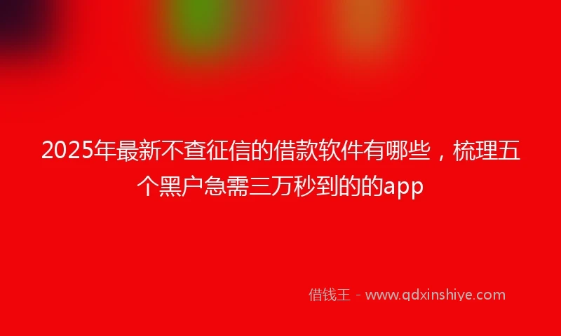2025年最新不查征信的借款软件有哪些，梳理五个黑户急需三万秒到的的app