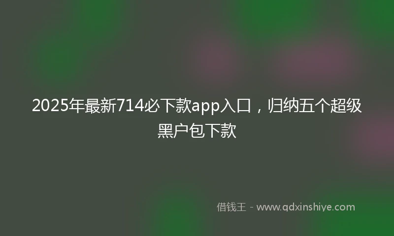 2025年最新714必下款app入口，归纳五个超级黑户包下款