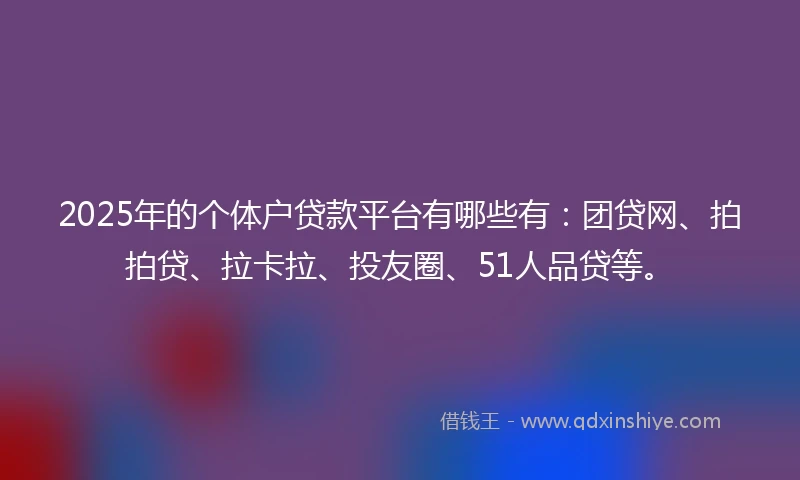 2025年的个体户贷款平台有哪些有：团贷网、拍拍贷、拉卡拉、投友圈、51人品贷等。