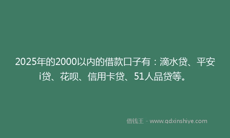 2025年的2000以内的借款口子有：滴水贷、平安i贷、花呗、信用卡贷、51人品贷等。