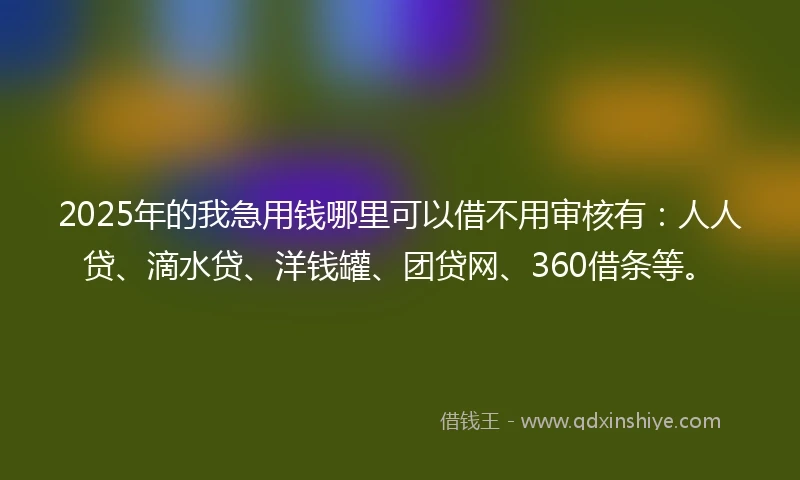 2025年的我急用钱哪里可以借不用审核有：人人贷、滴水贷、洋钱罐、团贷网、360借条等。
