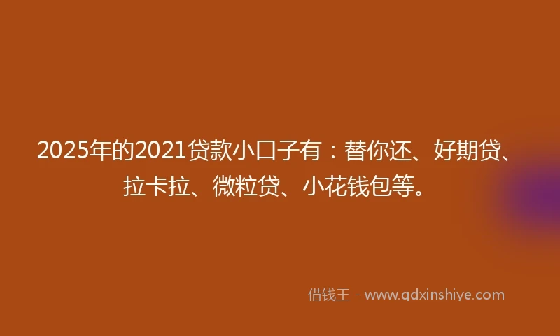 2025年的2021贷款小口子有：替你还、好期贷、拉卡拉、微粒贷、小花钱包等。