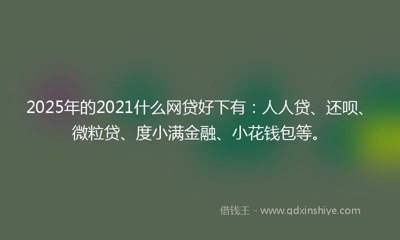 2025年的2021什么网贷好下有：人人贷、还呗、微粒贷、度小满金融、小花钱包等。