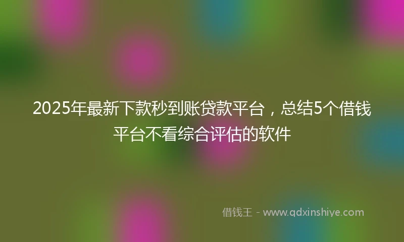 2025年最新下款秒到账贷款平台，总结5个借钱平台不看综合评估的软件