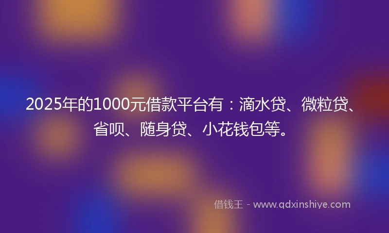 2025年的1000元借款平台有：滴水贷、微粒贷、省呗、随身贷、小花钱包等。