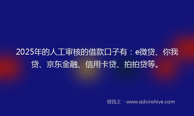2025年的人工审核的借款口子有：e微贷、你我贷、京东金融、信用卡贷、拍拍贷等。