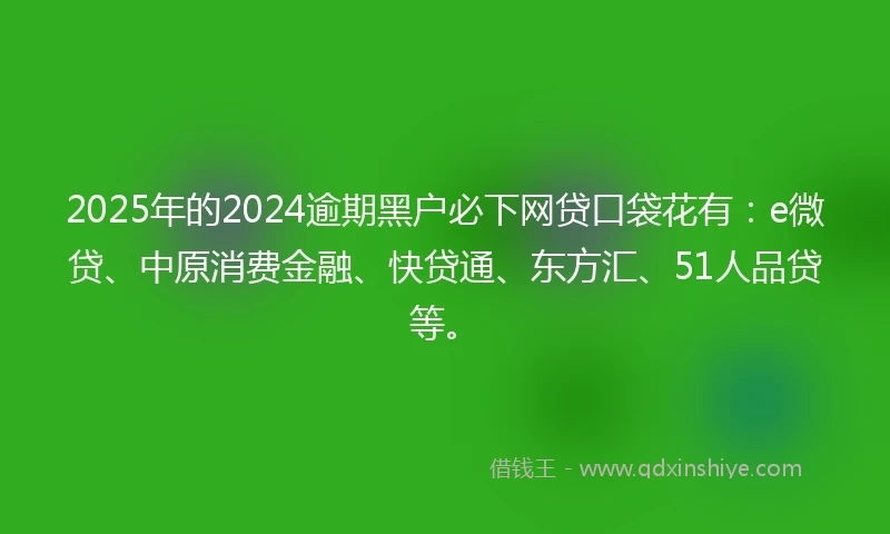 2025年的2024逾期黑户必下网贷口袋花有：e微贷、中原消费金融、快贷通、东方汇、51人品贷等。