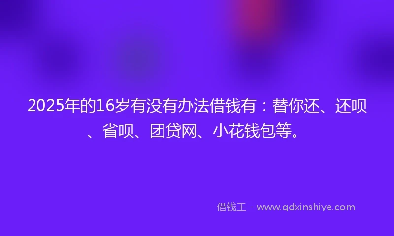 2025年的16岁有没有办法借钱有：替你还、还呗、省呗、团贷网、小花钱包等。