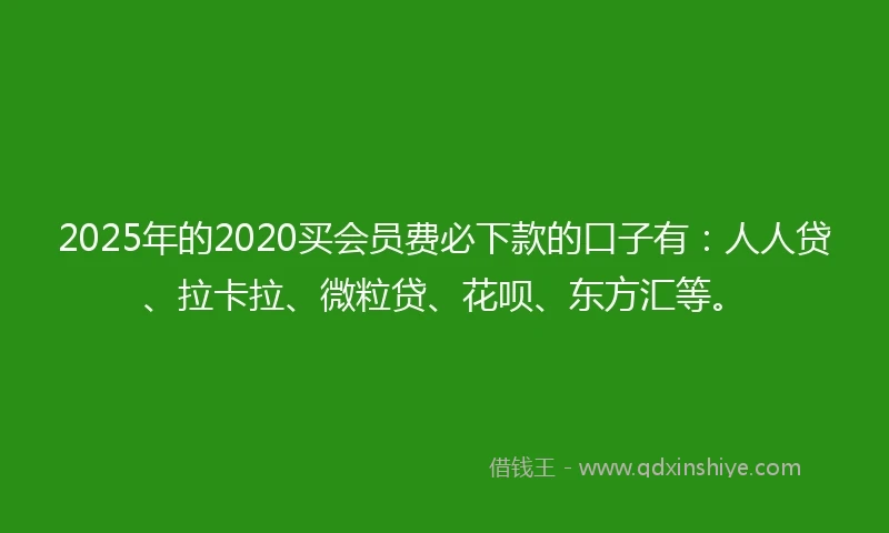 2025年的2020买会员费必下款的口子有：人人贷、拉卡拉、微粒贷、花呗、东方汇等。