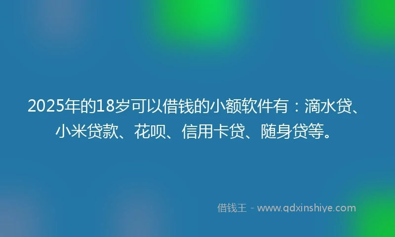 2025年的18岁可以借钱的小额软件有：滴水贷、小米贷款、花呗、信用卡贷、随身贷等。