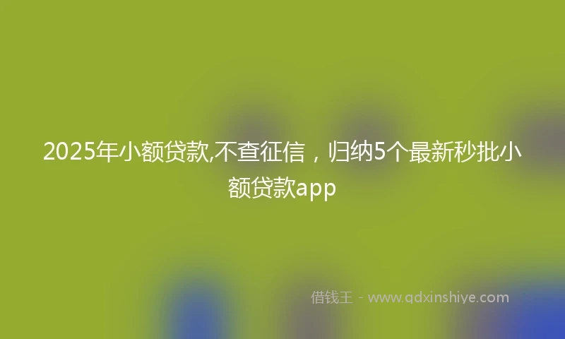 2025年小额贷款,不查征信，归纳5个最新秒批小额贷款app