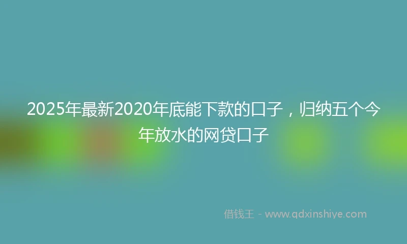 2025年最新2020年底能下款的口子，归纳五个今年放水的网贷口子