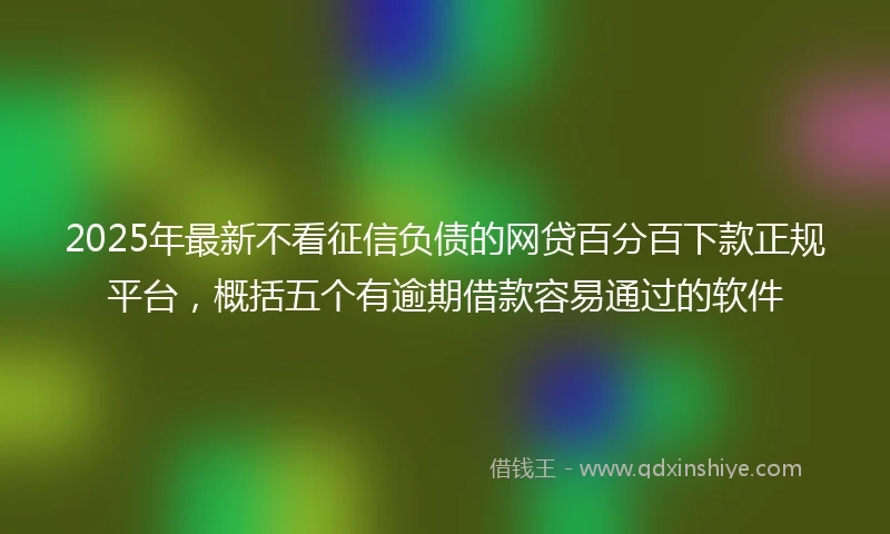 2025年最新不看征信负债的网贷百分百下款正规平台，概括五个有逾期借款容易通过的软件