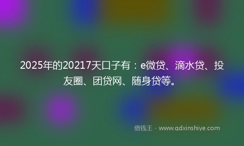 2025年的20217天口子有：e微贷、滴水贷、投友圈、团贷网、随身贷等。