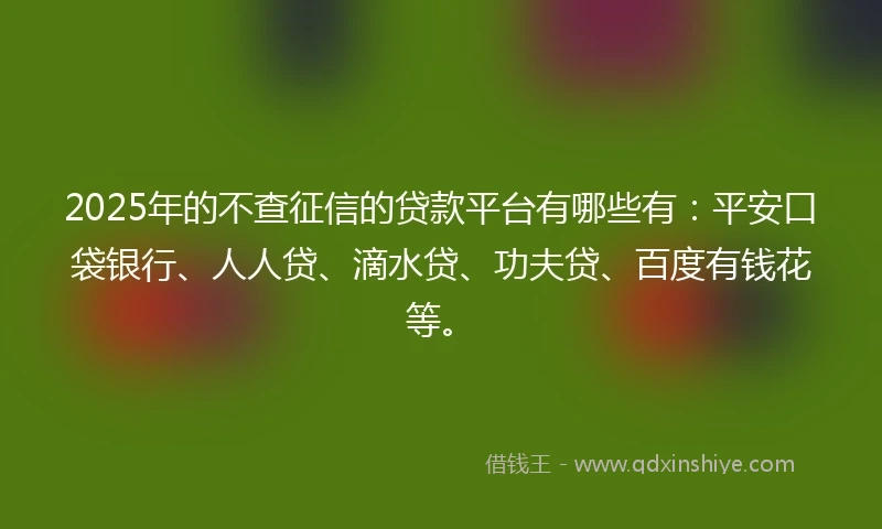 2025年的不查征信的贷款平台有哪些有：平安口袋银行、人人贷、滴水贷、功夫贷、百度有钱花等。
