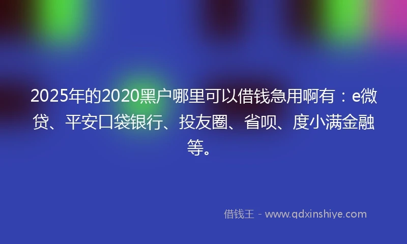 2025年的2020黑户哪里可以借钱急用啊有：e微贷、平安口袋银行、投友圈、省呗、度小满金融等。