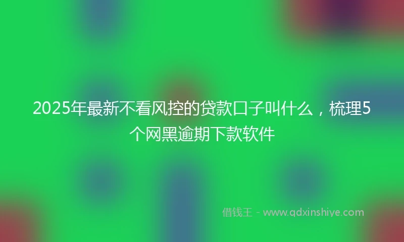 2025年最新不看风控的贷款口子叫什么，梳理5个网黑逾期下款软件