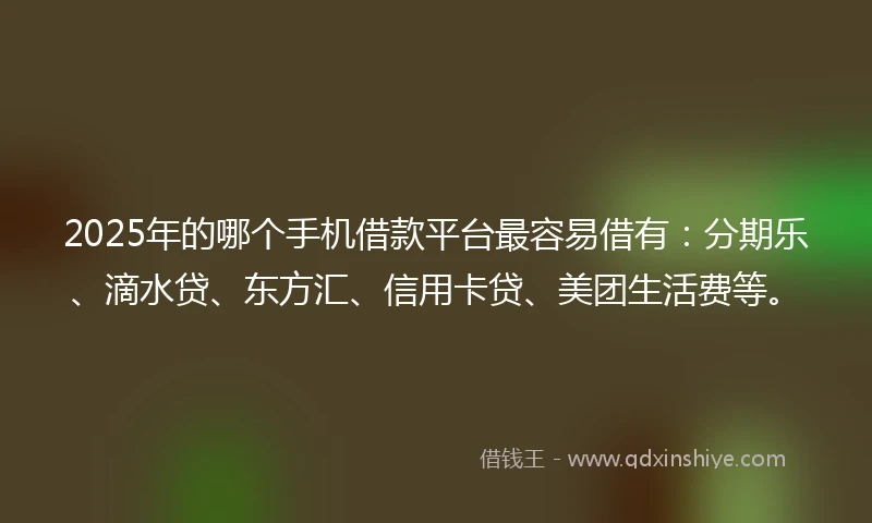 2025年的哪个手机借款平台最容易借有：分期乐、滴水贷、东方汇、信用卡贷、美团生活费等。