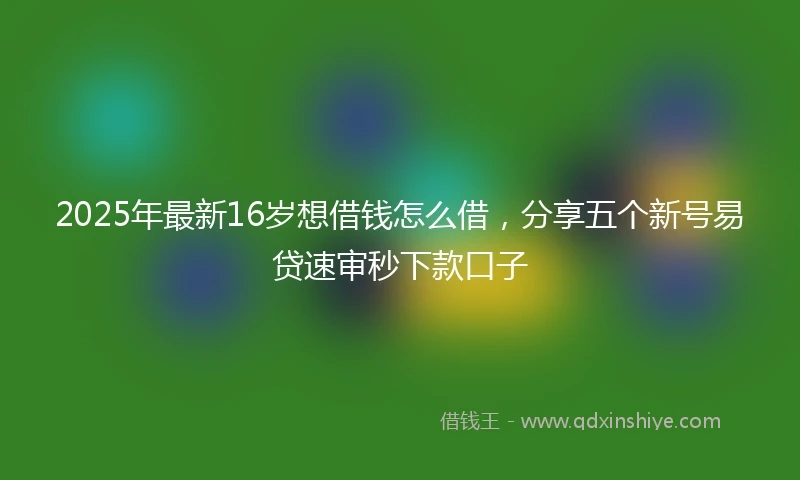 2025年最新16岁想借钱怎么借，分享五个新号易贷速审秒下款口子