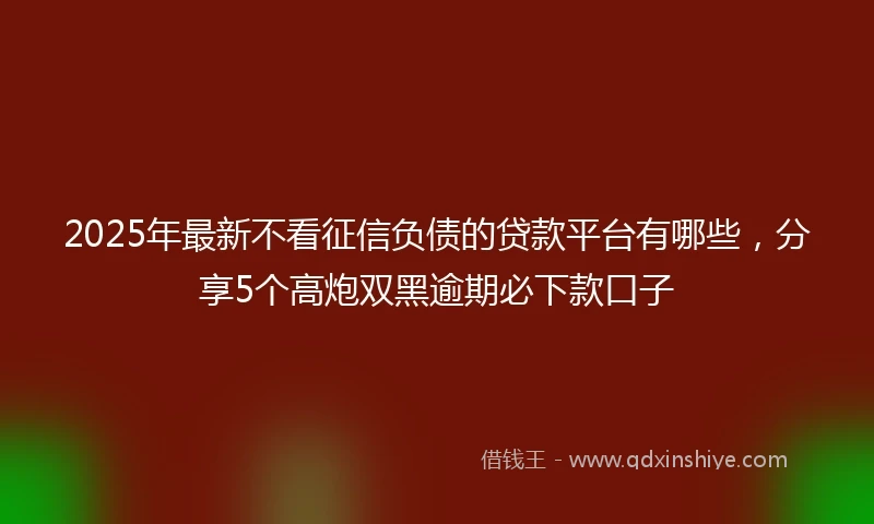 2025年最新不看征信负债的贷款平台有哪些，分享5个高炮双黑逾期必下款口子