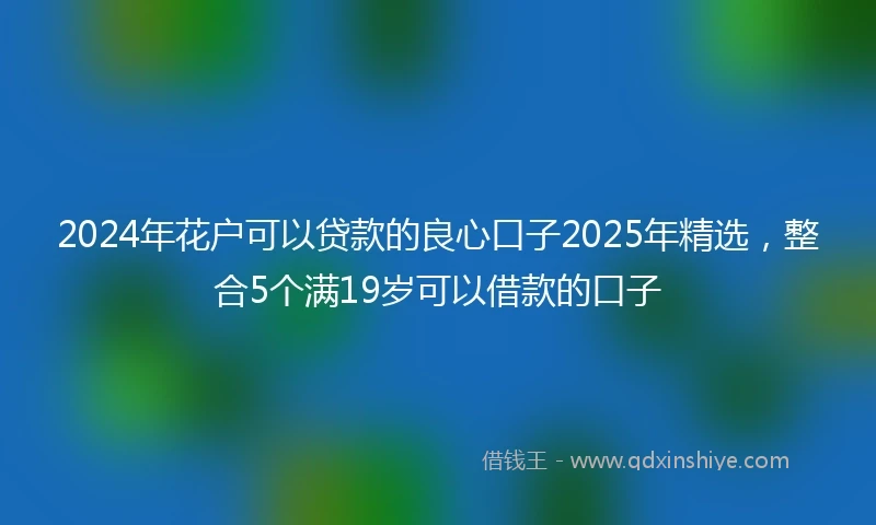 2024年花户可以贷款的良心口子2025年精选，整合5个满19岁可以借款的口子