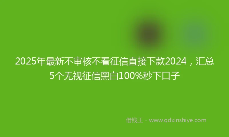 2025年最新不审核不看征信直接下款2024，汇总5个无视征信黑白100%秒下口子