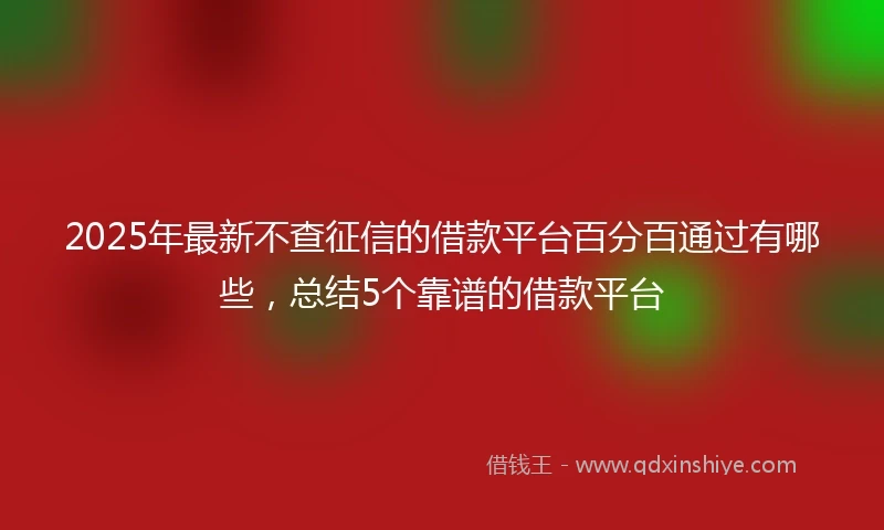 2025年最新不查征信的借款平台百分百通过有哪些，总结5个靠谱的借款平台