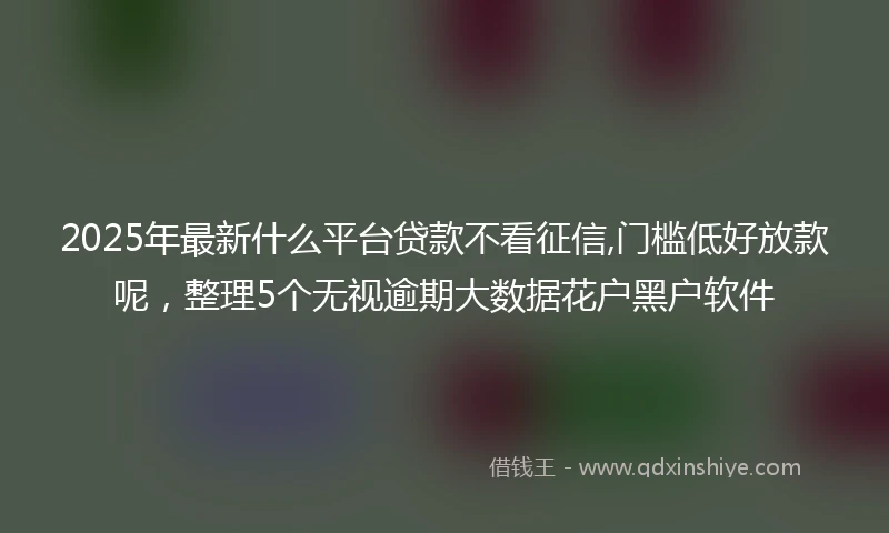 2025年最新什么平台贷款不看征信,门槛低好放款呢，整理5个无视逾期大数据花户黑户软件