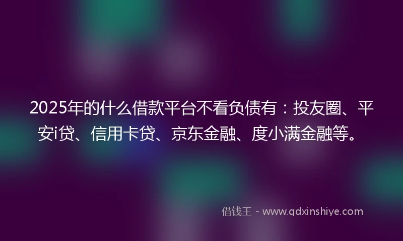 2025年的什么借款平台不看负债有：投友圈、平安i贷、信用卡贷、京东金融、度小满金融等。