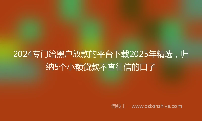 2024专门给黑户放款的平台下载2025年精选，归纳5个小额贷款不查征信的口子