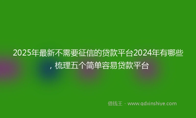 2025年最新不需要征信的贷款平台2024年有哪些，梳理五个简单容易贷款平台