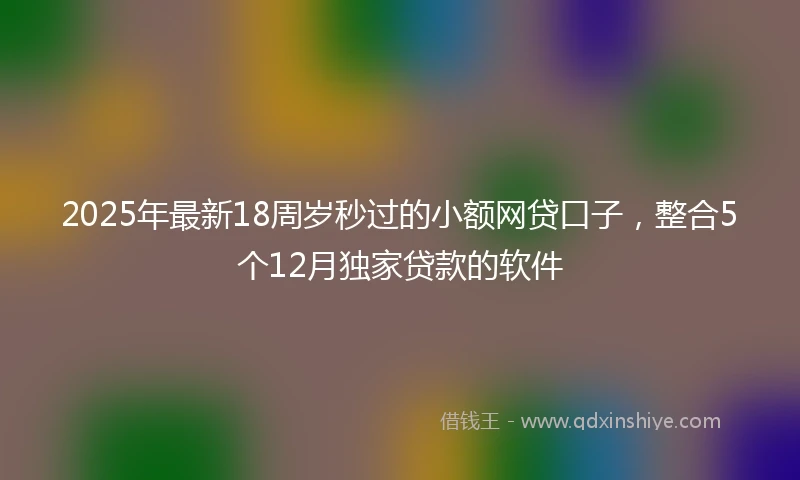2025年最新18周岁秒过的小额网贷口子，整合5个12月独家贷款的软件
