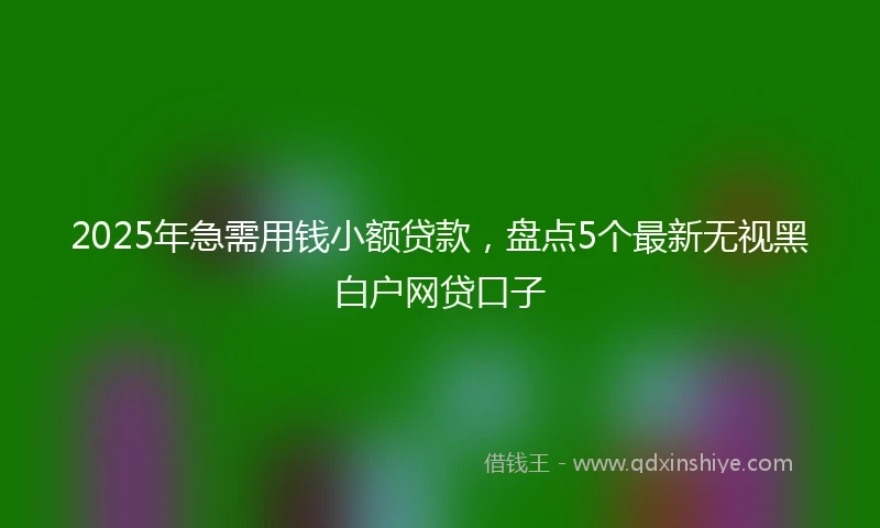 2025年急需用钱小额贷款，盘点5个最新无视黑白户网贷口子