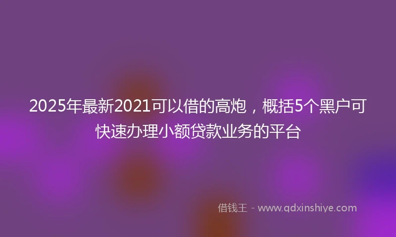2025年最新2021可以借的高炮，概括5个黑户可快速办理小额贷款业务的平台