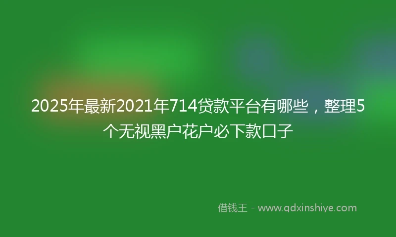2025年最新2021年714贷款平台有哪些，整理5个无视黑户花户必下款口子