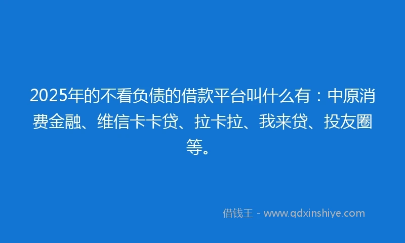 2025年的不看负债的借款平台叫什么有：中原消费金融、维信卡卡贷、拉卡拉、我来贷、投友圈等。