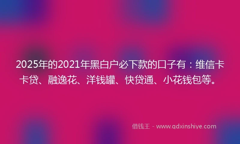 2025年的2021年黑白户必下款的口子有：维信卡卡贷、融逸花、洋钱罐、快贷通、小花钱包等。