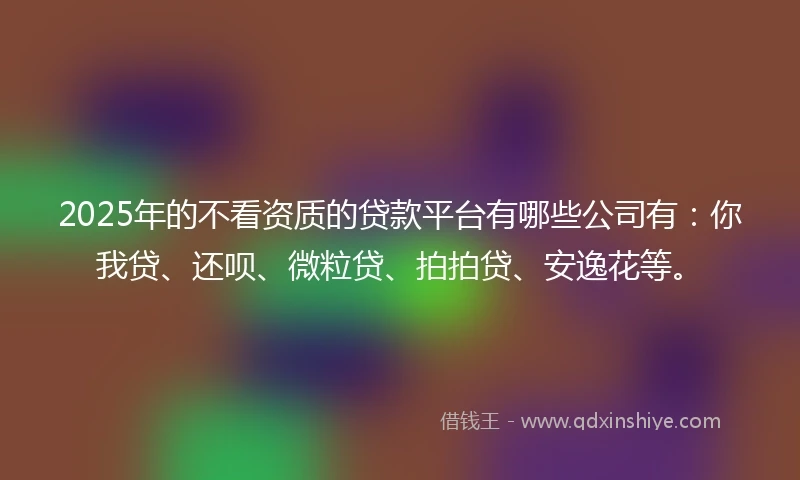 2025年的不看资质的贷款平台有哪些公司有：你我贷、还呗、微粒贷、拍拍贷、安逸花等。