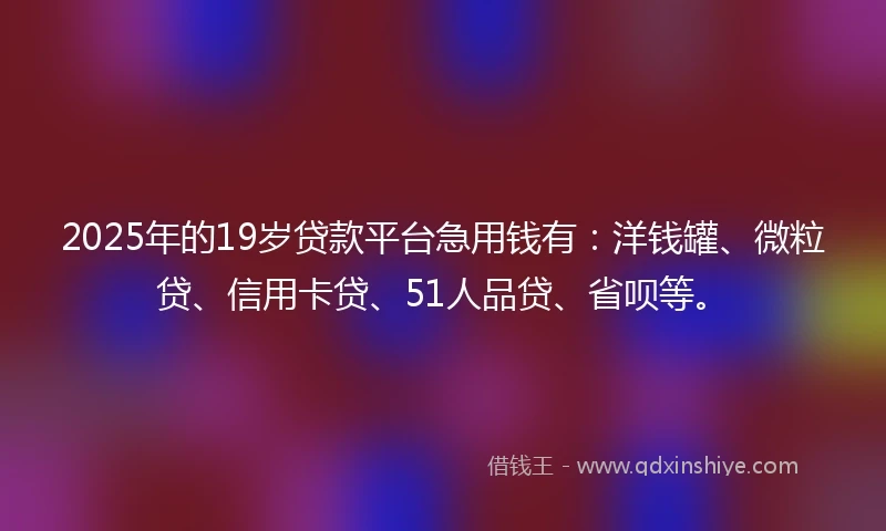 2025年的19岁贷款平台急用钱有：洋钱罐、微粒贷、信用卡贷、51人品贷、省呗等。