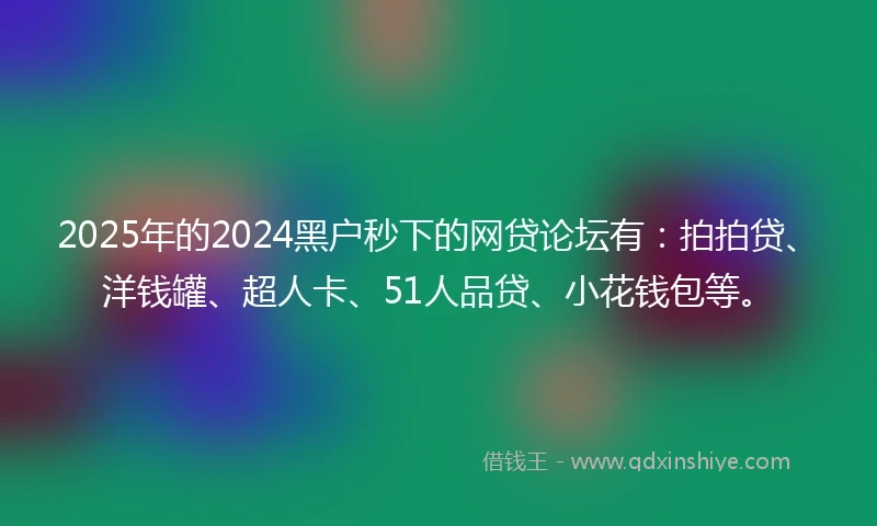 2025年的2024黑户秒下的网贷论坛有：拍拍贷、洋钱罐、超人卡、51人品贷、小花钱包等。