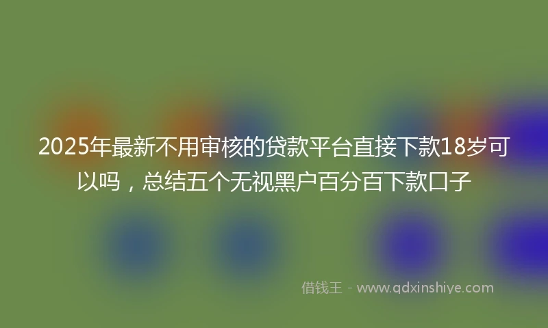 2025年最新不用审核的贷款平台直接下款18岁可以吗，总结五个无视黑户百分百下款口子