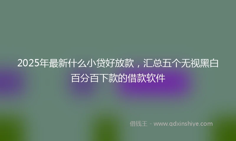2025年最新什么小贷好放款，汇总五个无视黑白百分百下款的借款软件