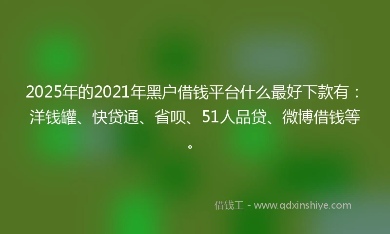 2025年的2021年黑户借钱平台什么最好下款有：洋钱罐、快贷通、省呗、51人品贷、微博借钱等。