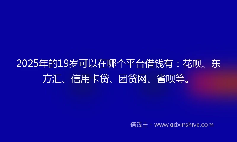2025年的19岁可以在哪个平台借钱有：花呗、东方汇、信用卡贷、团贷网、省呗等。
