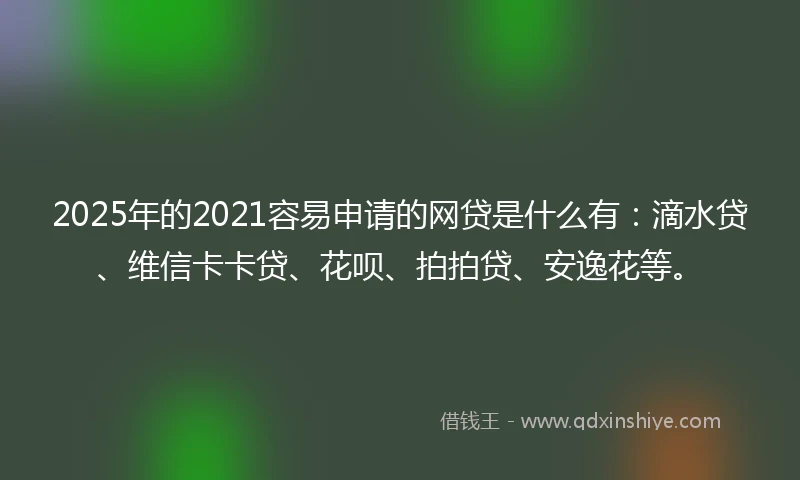 2025年的2021容易申请的网贷是什么有：滴水贷、维信卡卡贷、花呗、拍拍贷、安逸花等。