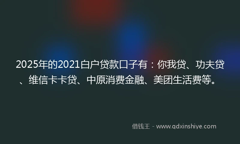 2025年的2021白户贷款口子有：你我贷、功夫贷、维信卡卡贷、中原消费金融、美团生活费等。