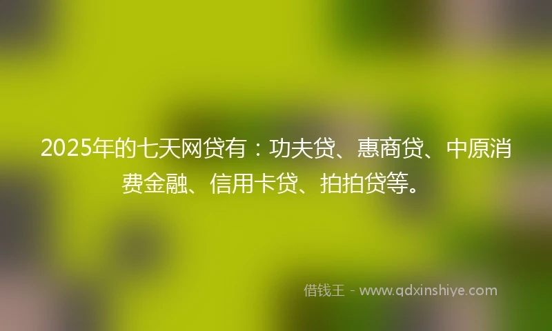 2025年的七天网贷有：功夫贷、惠商贷、中原消费金融、信用卡贷、拍拍贷等。