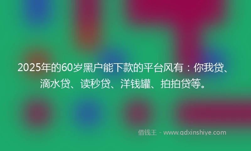 2025年的60岁黑户能下款的平台风有：你我贷、滴水贷、读秒贷、洋钱罐、拍拍贷等。